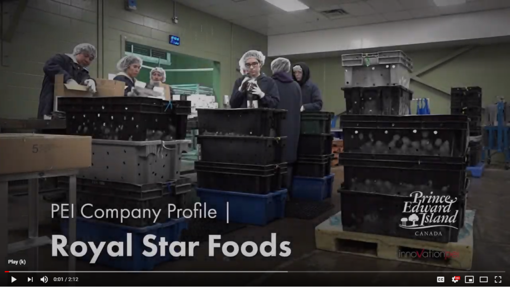 IPEI Profile - Royal Star Foods