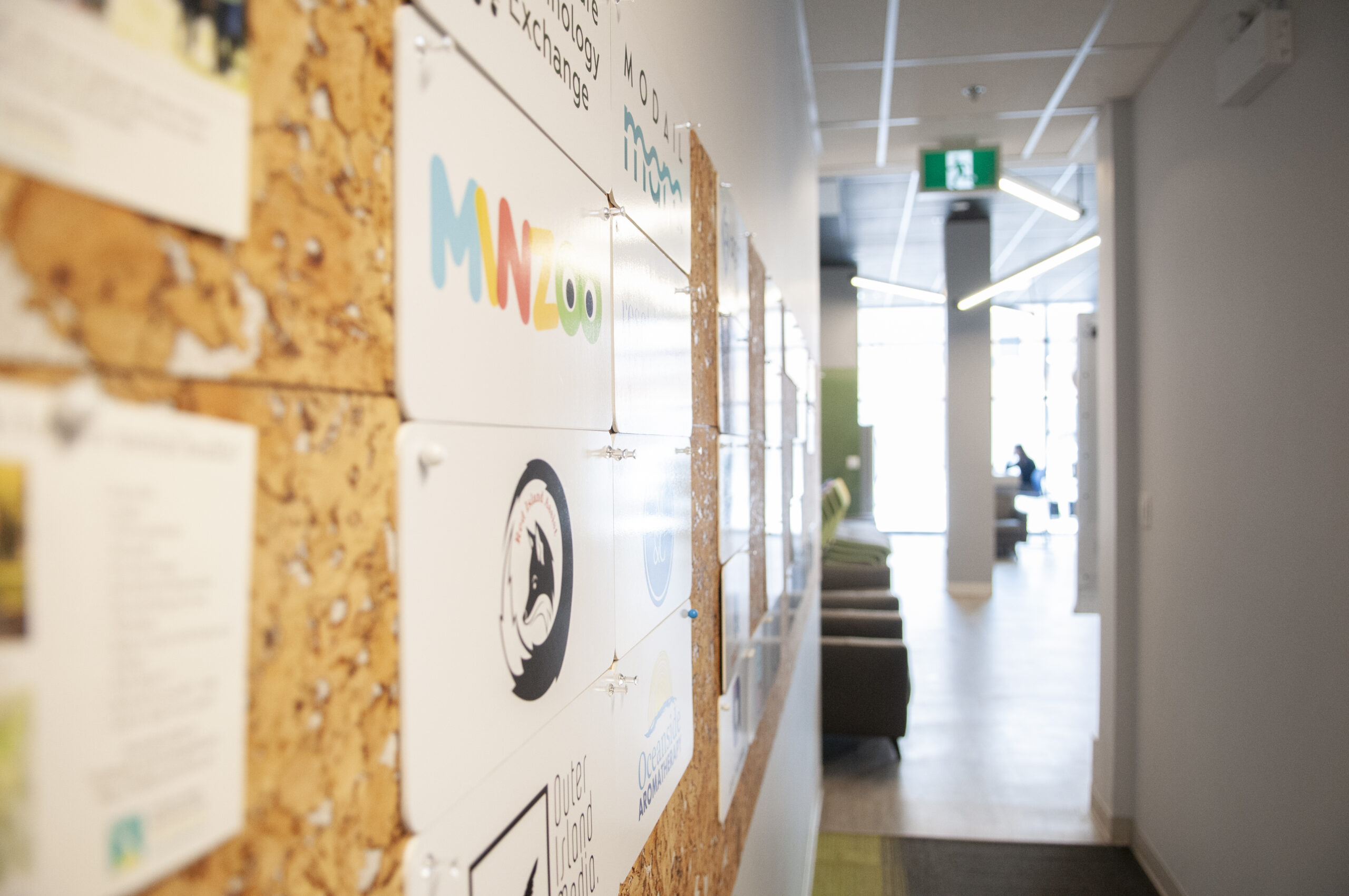 Startup Zone17