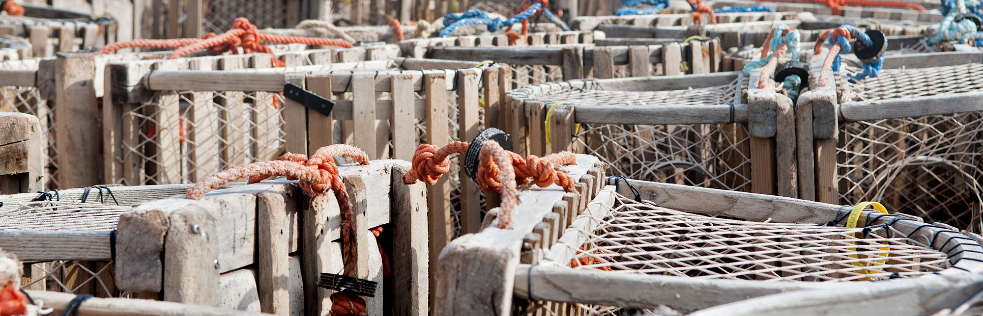 lobster traps on shore